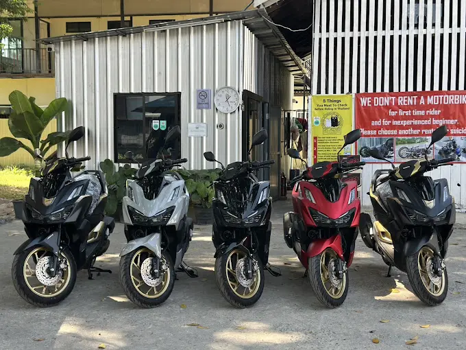 Row of scooters parked outside Cat Motors scooter rental in Chiang Mai.